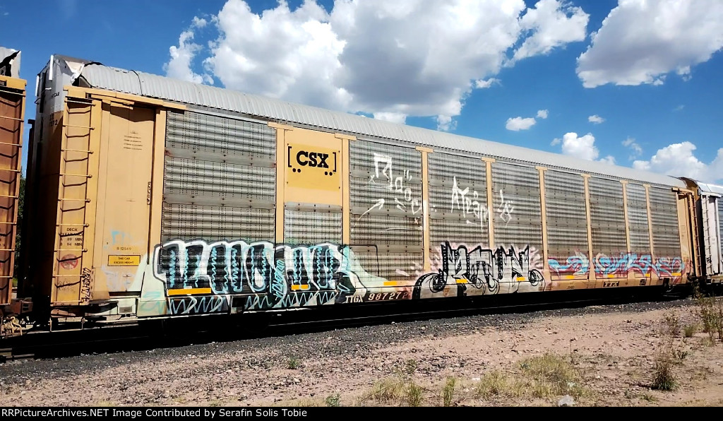 CSX B12549 TTGX 987272 Ex TFM